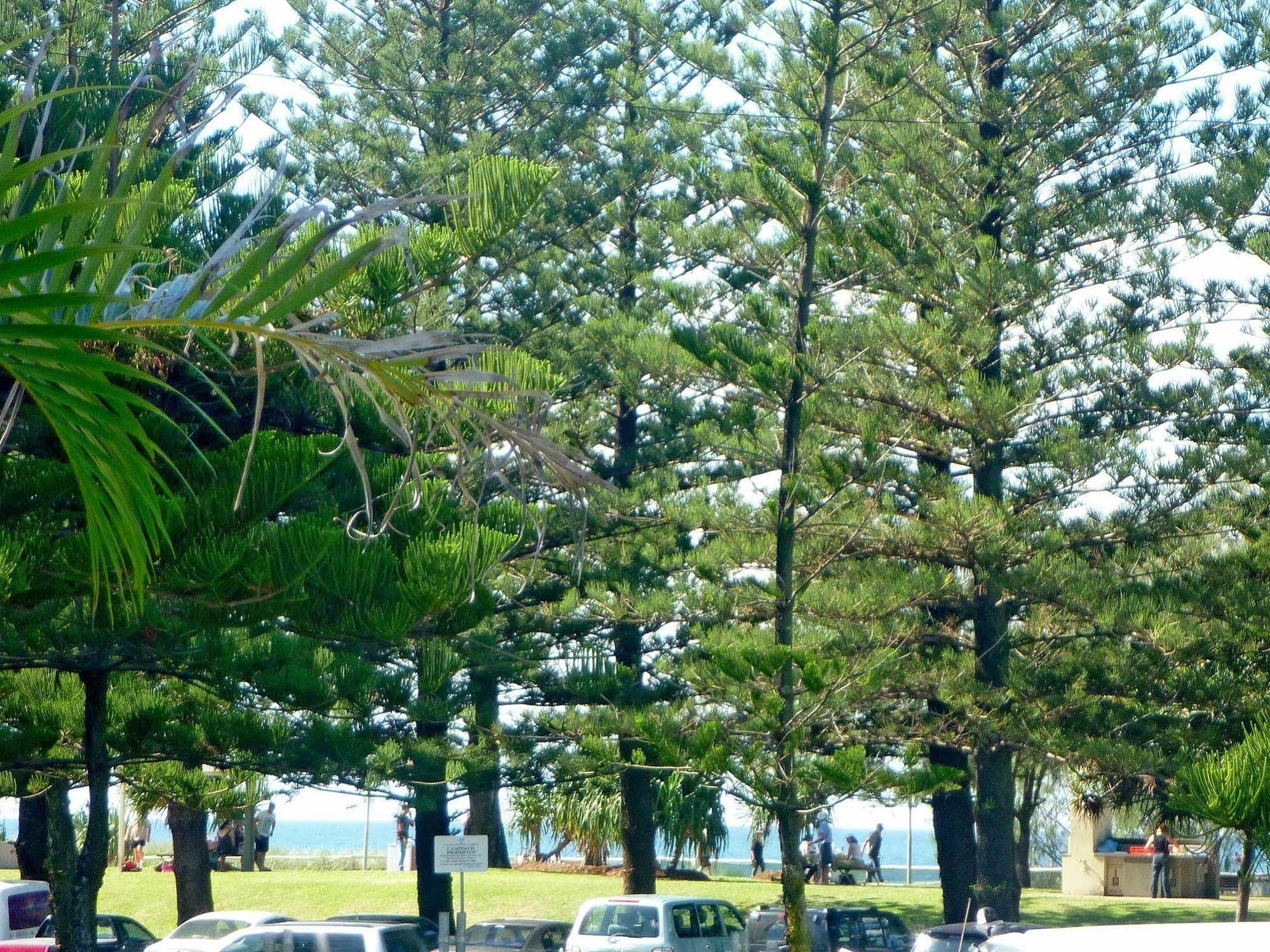 Main Beach Tourist Park מראה חיצוני תמונה